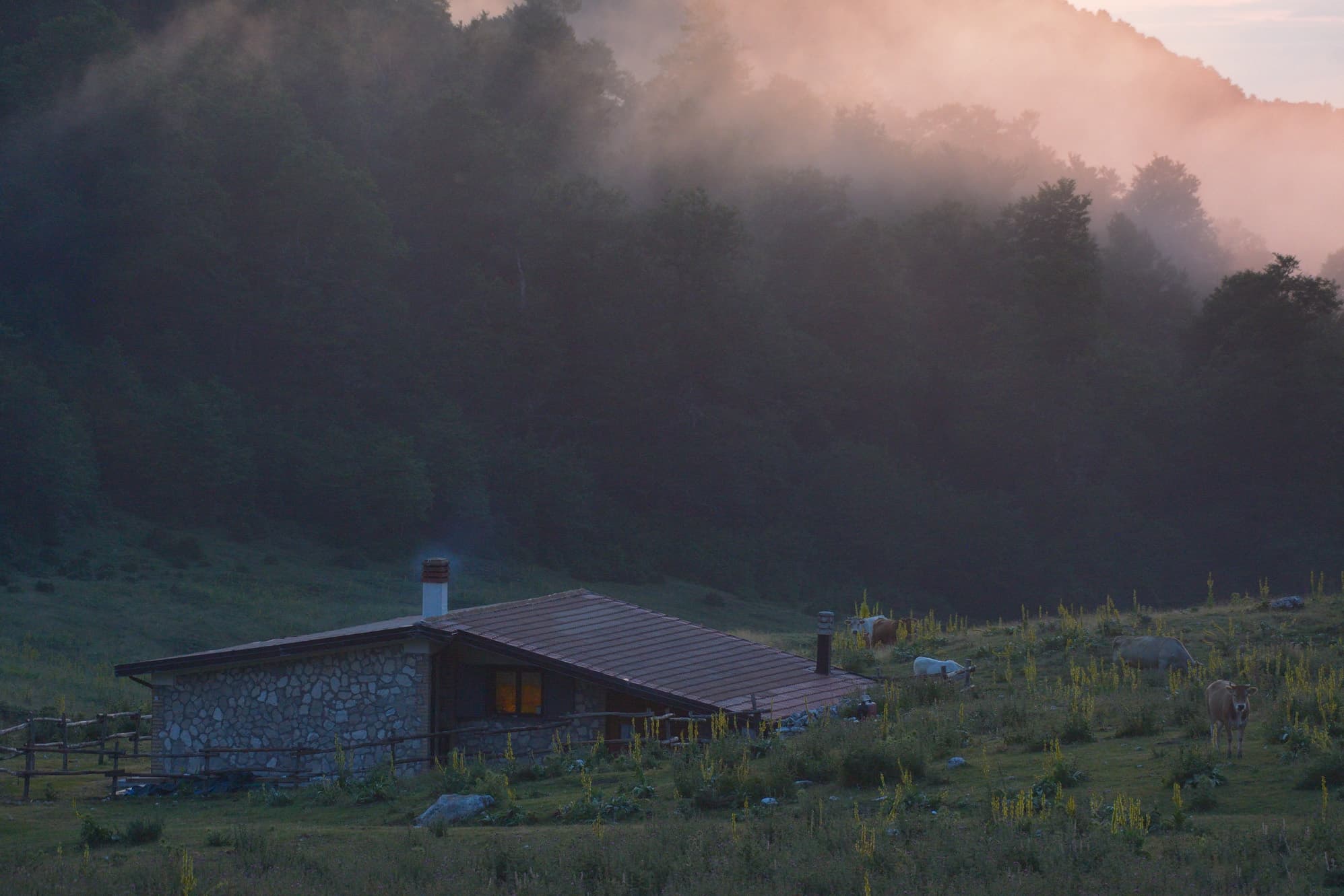 View of Eco Tourism: The Luxury Eco-Lodges Leading the Way